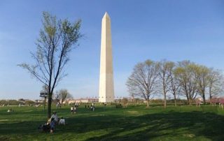 The Washington Monument, a tall white pyramid capped with an aluminum cone, stands tall on a green lawn, surrounded by flags, and in front of a clear, blue, sky.