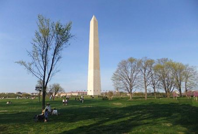 The Washington Monument, a tall white pyramid capped with an aluminum cone, stands tall on a green lawn, surrounded by flags, and in front of a clear, blue, sky.